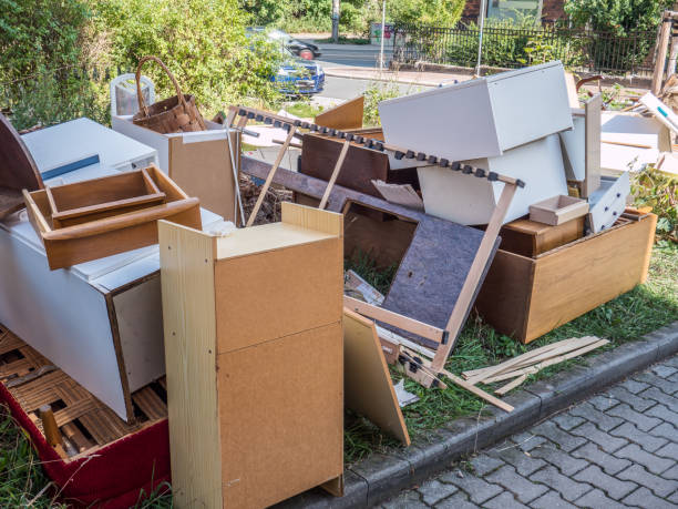 Best Junk Hauling Services  in Louisburg, KS