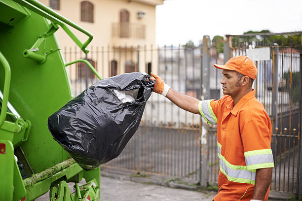 Yard Cleanup Services in Louisburg, KS